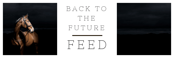 Hi Form Back to the Future Feeding