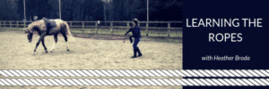 Hi Form Learning the ropes