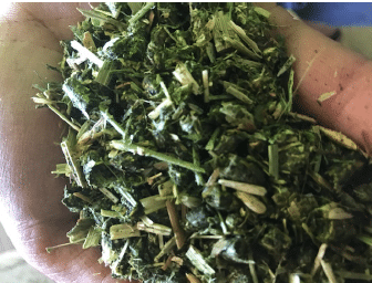 Hi Form Feeding Guide Forage