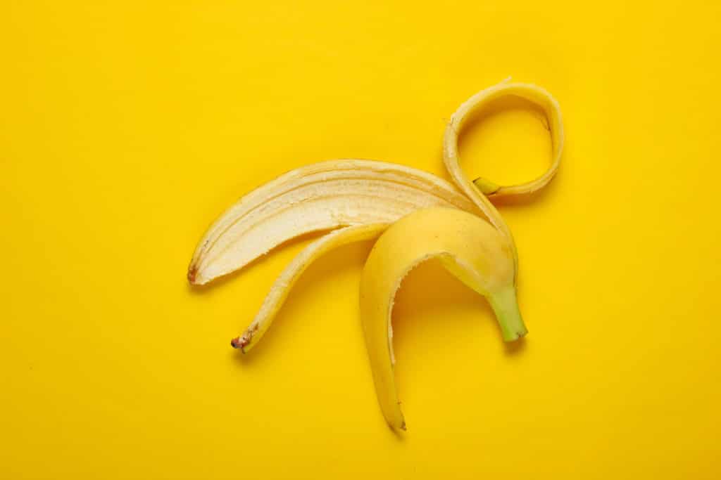 bananas for horses bananas for horses